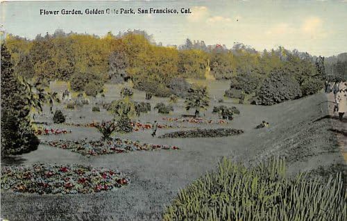 סן פרנסיסקו, גלויה בקליפורניה