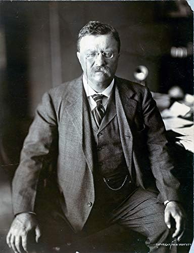 תצלום של תיאודור רוזוולט - יצירות אמנות היסטוריות משנת 1910 - דיוקן נשיא ארהב - - מט
